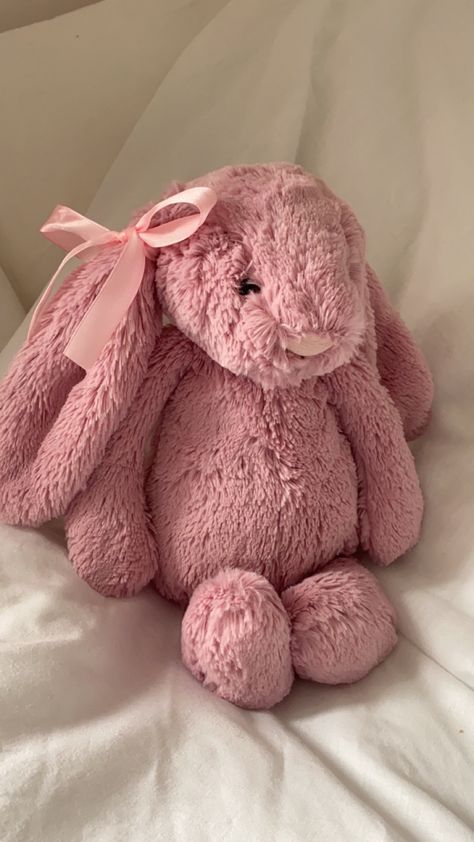 Pink Jellycat Bunny Aesthetic, Pink Jelly Cat Bunny, Pink Bunny Jellycat, Pink Jelly Cat, Pink Jellycat, Jelly Cat Bunny, Pink Plushie, Jellycat Bunnies, Bunny Jellycat