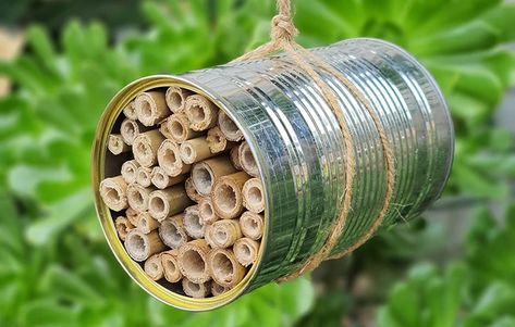 Diy Bug Hotel, Upcycle Plastic, Stick Bug, Hotel Cleaning, Hotel Ideas, Bee Hotel, Bug Hotel, Insect Hotel, Bee Boxes