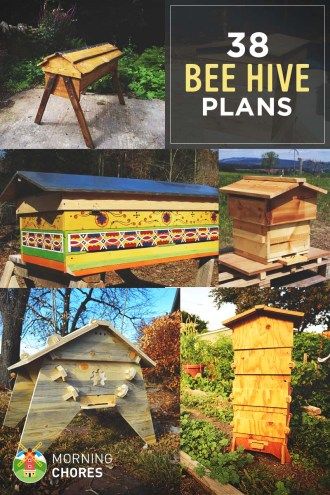 Do you want to be a beekeeper and looking for ideas or plans for langstroth, top-bar, or warre beehives? Here are 36 fee DIY bee hive plans for you. Beehive Plans, Diy Bee Hive, Honey House, Diy Bee, Bee Hive Plans, Backyard Bee, Beekeeping For Beginners, Raising Bees, Backyard Beekeeping