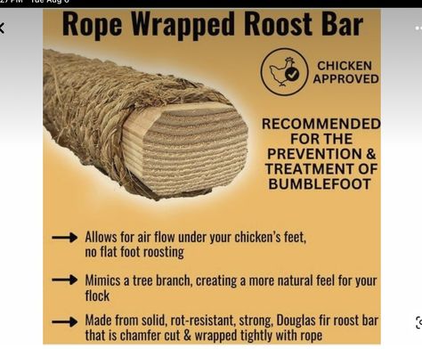 Chicken Roosting Tree, How Many Nesting Boxes For Chickens, Harry Potter Chicken Coop, Chicken Treats Diy, Diy Chicken Roost Ideas, Chicken Roost Ideas Diy, Chicken Coop Must Haves, Roosting Bars For Chickens, Chicken Toys For Coop