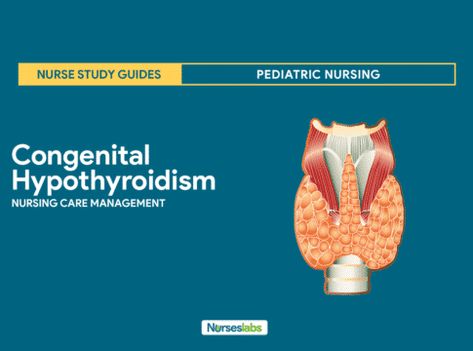 Congenital Hypothyroidism Congenital Hypothyroid, Pediatric Nursing Study, Nurse Study, Nursing Study Guide, Nurse Manager, Care Management, Anatomy Physiology, Nursing Care Plan, Pediatric Nurse