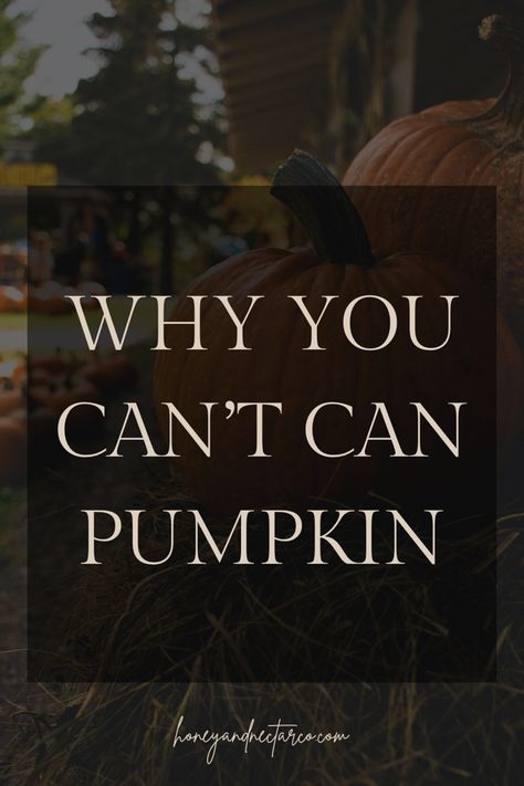 Why you can’t can pumpkin - Honey & Nectar Co. Water Bath Canning Pumpkin Puree, Pumpkin Puree Canning Recipes, Canning Pumpkin Puree Pressure, Canning Pumpkin Soup, Pumpkin Canning Recipes, Canning Fresh Pumpkin, Pressure Canning Pumpkin Puree, Canning Pumpkin Puree Water Bath, Preserve Pumpkin