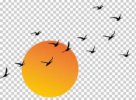 Angle Art, Sunset Png, Birds Png, 3d Art Drawing, Sunset Background, Red Sunset, January 20, Computer Graphics, Free Sign