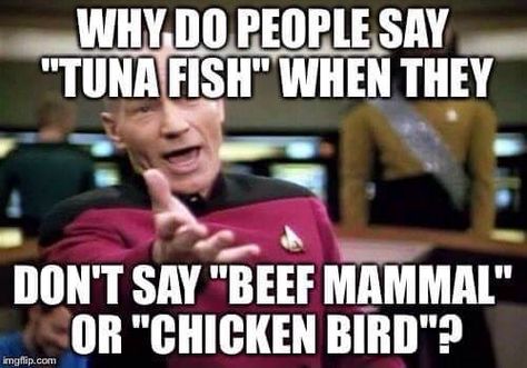 Tuna fish?! Class Memes Funny, Mtg Memes, Art For Teachers, Teacher Memes Funny, Classroom Memes, Class Memes, Chicken Bird, Spanish Jokes, Super Funny Memes