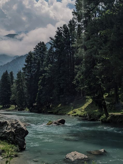 a valley in pahalgam, kashmir, india Pahalgam Kashmir Aesthetic, Kashmir Aesthetic, Pahalgam Kashmir, Real Background, India Travel Places, Hunza Valley, Abstract Pencil Drawings, Moments Quotes, Kashmir India