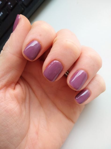 Plum wine DND 453 Plum Manicure Ideas, Dnd Plum Wine, Dnd 453 Plum Wine, Plum Shellac Nails, Plum Nail Polish Colors, Dark Plum Nail Color, Plum Nail Polish, Shellac Nail Polish, Purple Manicure