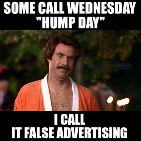 Friday Drinking Quotes, Funny Wednesday Memes, Hump Day Meme, Funny Wednesday Quotes, Hump Day Quotes, Wednesday Memes, Wednesday Hump Day, Hump Day Humor, Wednesday Humor