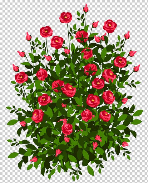 Red Rose Bush, Bush Drawing, Drawing Rose, Plant Png, Rose Flower Arrangements, Rose Paper, White Rose Flower, Pink Rose Bouquet, Red And Pink Roses