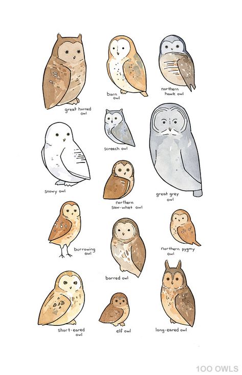 Fun Art Print, Owl Species, Whimsical Owl, Owls Drawing, Art Things, 수채화 그림, Owl Art, E Card, Whimsical Art