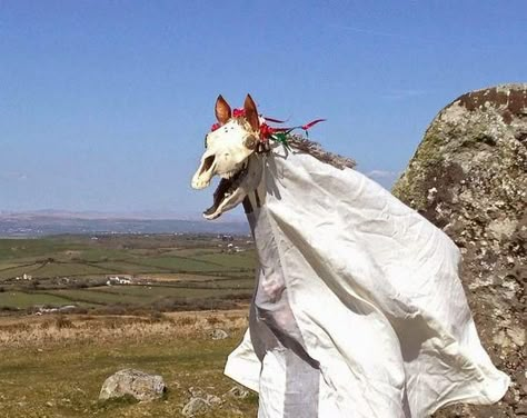 Mari Lwyd Welsh Christmas Tradition. Five Unique Christmas Traditions from Around the World by Issa Rabideaux Mari Lwyd, Charles Freger, Horse Skull, 동화 삽화, Punch And Judy, Christmas Horses, Most Haunted, Hobby Horse, 영감을 주는 캐릭터