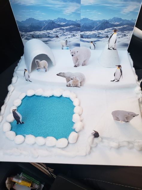 Polar Habitat Project, Polar Bear Habitat Project Kids, Arctic Habitat Project For Kids, Arctic Habitat, Winter Science Activities, Diorama Kids, Habitats Projects, Polar Bear Craft, Craft Work For Kids