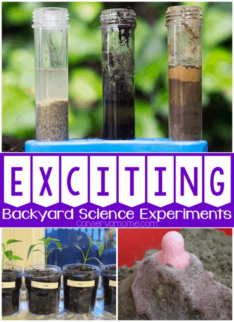 Outdoor Science Experiments, Backyard Science, Outdoor Science, Science Experience, Surviving To Thriving, Newborn Hacks, Experiments For Kids, Real Moms, Preparing For Baby