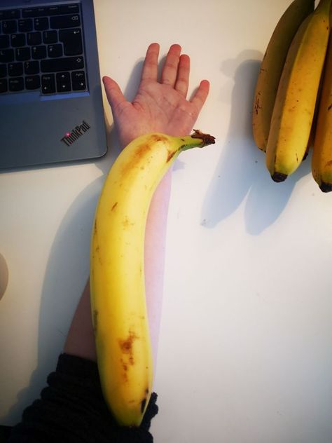 SAM Palmer’s eyes were on stalks when she unpacked the shopping — and found a foot-long banana. She said mum Paula had not noticed what a whopper it was at the supermarket. But when they pulled it out, it was as big as her forearm. Sam, 31, added: “It was the biggest banana I’ve ever […] She Said