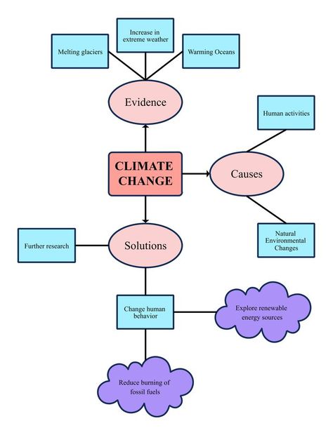 Concept Web Graphic Organizer Main Idea Graphic Organizer, Graphic Organizer Template, Concept Web, Story Map, Graphic Organizer, Human Activity, Compare And Contrast, Cause And Effect, Human Behavior