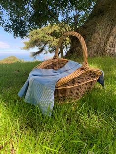 Cottage Core Basket, Woven Basket Aesthetic, Cottage Picnic Aesthetic, Basket Weaving Aesthetic, Aesthetic Picnic Basket, Picnic Park Aesthetic, Picnic Basket Aesthetic, Cottagecore Aesthetic Picnic, Conner Bailey