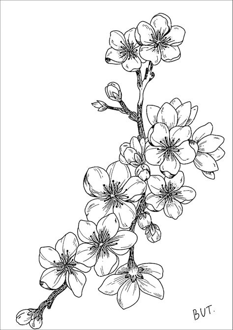 Blackwork Cherry Blossom Tattoo, Chinese Blossom Tattoo, Cherry Blossom Tattoo Stencil, Cherry Blossom Tattoo Design, Crisantemo Tattoo, Chinese Blossom, Japanese Flower Tattoo, Red Spider Lily, Branch Tattoo