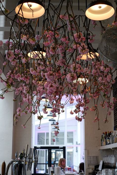 Cherry Blossom Chandelier, Cherry Blossom Installation, New Year Backdrop Ideas, Shoot Setup, Tree Installation, Mochi Donut, Artificial Cherry Blossom Tree, Instagram Campaign, Cafe Space