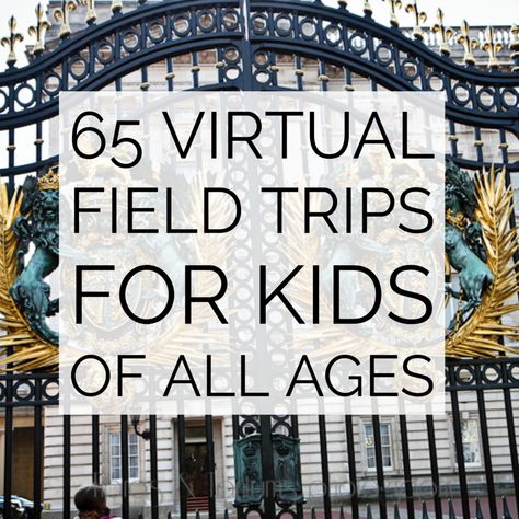 65 Virtual Field Trips for Kids of all Ages Trips For Kids, Virtual Museum Tours, Clearwater Marine Aquarium, Watkins Glen State Park, California Academy Of Sciences, Family Vacation Spots, Virtual Field Trips, Watkins Glen, Park In New York