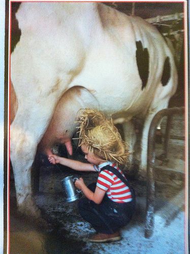 Milking a cow - Cute card with a little boy milking a cow. My Dad sent this to my son a few years ago. Milk Cows, Milk A Cow, Milking A Cow, Cow Milking, Milking Cow, Milking Cows, Milk The Cow, Farm Day, Farm Lifestyle