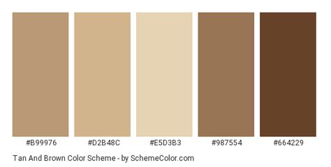 Color scheme palette image Tan Pallete Color, Canva Brown Palette, Colour Palette Browns, Neutral Brown Palette, Brown Beige Palette, Aesthetic Brown Color Palette, Tan Colour Pallete, Brown Pallete Color Aesthetic, Beige And Brown Color Palette