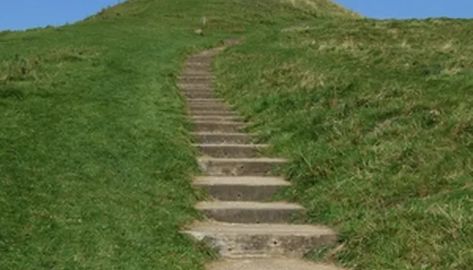 How to Build Paver Steps Into a Hillside Paver Steps, Garden Landscaping Diy, Landscape Stairs, Landscape Steps, Brick Steps, How To Build Steps, Sloped Yard, Sloped Backyard, Garden Stairs