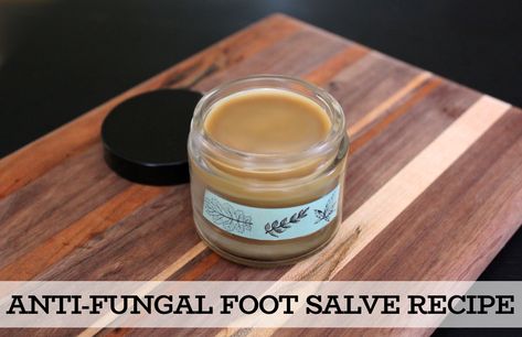 Antifungal Foot Salve Recipe - a natural holistic home remedy for athlete's foot, toenail fungus and candida with key ingredients like an anti-fungal essential oil, neem oil and coconut oil. This natural anti-fungal foot salve recipe is a great way to naturally promote skin health. Used daily it can help to treat fungal foot infections as well as prevent their reoccurrence. #antifungal Antifungal Essential Oil, Natural Antifungal, Holistic Home, Toenail Fungus Remedies, Natural Skincare Recipes, Oregano Essential Oil, Salve Recipes, Holistic Health Remedies, Toenail Fungus