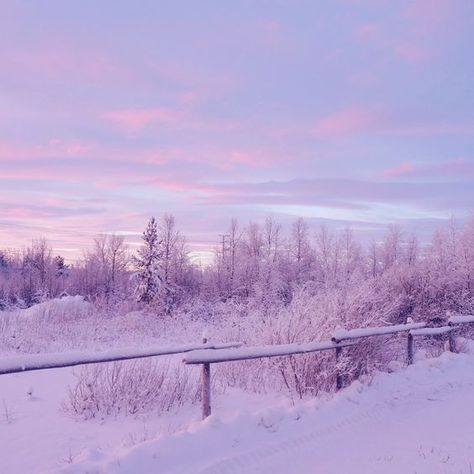 Frosty Winter Aesthetic, Winter Pastel Aesthetic, Pink And Blue Winter Aesthetic, Bright Winter Aesthetic, Pastel Winter Aesthetic, Purple Widget, Pink Snow, Purple Christmas, Pink Winter