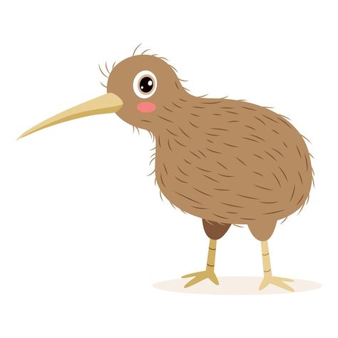 Cartoon Kiwi Bird, Kiwi Illustration Bird, Kiwi Reference, Kiwi Bird Drawing, Baby Room Artwork, Premium Vector Cartoon, Bird Cartoon, Cartoon Bird, Kiwi Bird