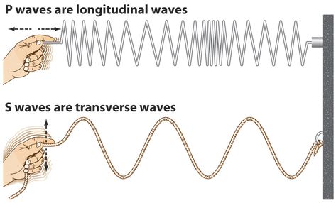 Longitudinal waves, e.g.: sound waves.  Transverse waves, e.g.: light waves. Longitudinal Wave, Sixth Grade Science, Types Of Waves, Science Anchor Charts, P Wave, Electromagnetic Waves, Sacred Science, Mystery School, 4th Grade Science