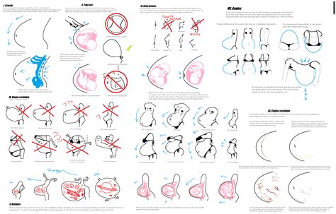 Pregnancy Drawing, Body Type Drawing, Belly Art, Pregnancy Art, Anatomy Drawing, Arte Sketchbook, Figure Drawing Reference, Anatomy Reference, Anatomy Art