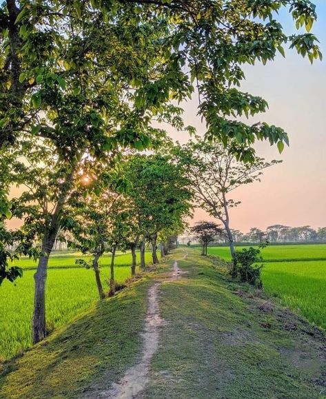 Bangladesh Village Photography, View Snap, Bangladesh Village, Punjab Village, Bangladesh Army, Pakistan Punjab, 10k Instagram Followers, Full Hd Wallpaper Download, Beautiful Bangladesh