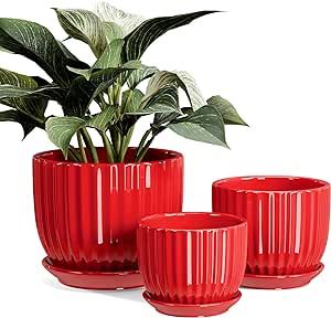 Red Flower Indoor Plant, Red Plant Pot, Pots Set, Pots For Plants, Indoor Flower Pots, Red Plants, Red Ceramic, Root Growth, Pot Set