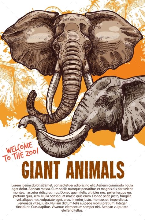 African Animals Elephants Zoo Vector Poster - Animals Characters Elephant Poster Design, Endangered Animals Art Projects, Zoo Restaurant, Zoo Poster Design, Safari Poster, Nature Indian, Zoo Poster, Animals Elephants, Elephant Logo Design