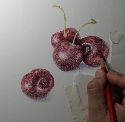 coloured pencil — Tutorials — Sharpened Artist Draw Cherries, Col Erase Pencils, Metallic Colored Pencils, Colored Pencil Art Projects, Colored Pencil Tutorial, Colored Pencil Artwork, Local Color, Pencil Painting, Colored Pencil Techniques