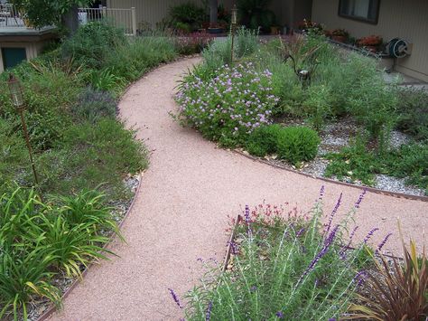 The 2 Minute Gardener: Photo - Decomposed Granite Pathway (DG) Dg Pathway, Dg Landscaping, Granite Walkway, Granite Pathway, Xeriscape Ideas, Garden Hill, Decomposed Granite Patio, Hardscape Backyard, Inspiring Gardens