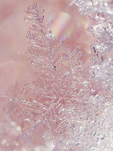 Days Till Christmas, Snow Crystal, Pink Snow, Crystal Snowflakes, I Love Winter, Ice Crystals, Winter Beauty, Snow And Ice, Winter Wonder