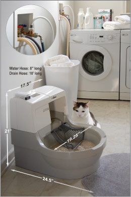 Cat Genie, Cleaning Litter Box, Cat Box, Cat Room, Cat Accessories, Cat Litter Box, Cat Diy, Cat Care, Cat Furniture