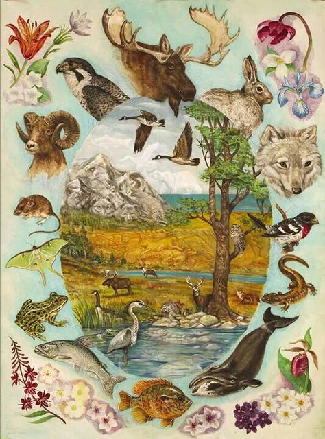 Oh Canada Wildlife Poster Design, Biodiversity Painting, Rewilding Illustration, Biodiversity Poster Drawing, Biodiversity Poster Ideas, Biodiversity Poster, Biodiversity Art, Biodiversity Illustration, Wildlife Ecology