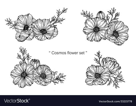 Marigold And Cosmos Flower Drawing, Cosmo Flower Tattoo Black And White, Marigold And Cosmos Flower Tattoo Sleeve, Cosmos And Poppy Flower Tattoo, Cosmo Flower Drawing, Marigold And Cosmos Tattoo, Cosmo Flower Tattoo October, Cosmo Tattoo Flower, Cosmos Flowers Drawing