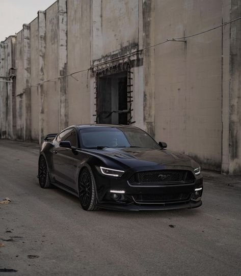 Black Ford Mustang Gt, Mustang 2024 Black, All Black Mustang Gt, 5.0 Mustang, Mustang Gt Aesthetic, All Black Mustang, Blacked Out Mustang, Mustang Gt500 Black, Black Mustang Car