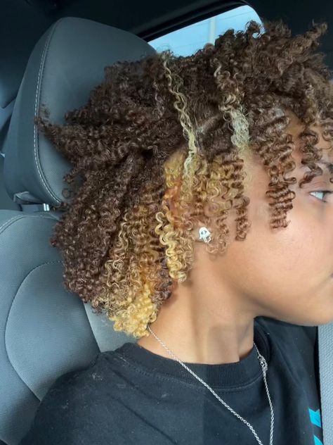 Hair Dye On 4c Hair, Dyed Hair Black Women 4c, Black Girls With Dyed Hair Natural, Dye Natural Hair Black Women, Colored Natural Hair For Black Women, Curly Hair Dye Ideas Highlights, Thick Natural Hair, Dyed Curly Hair, Honey Brown Hair