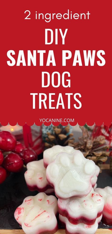 These dog treat recipes Christmas are perfect dog treats homemade frozen for the holiday season. No bake dog treats, dog treats christmas gifts, dog treat recipes frozen, diy dog treats easy, dog treat recipes for silicone molds #dogchristmas #frozendogtreats #dogtreatrecipes #dogmom #yocanine Christmas Dog Treats Homemade, Homemade Christmas Dog Treats, Diy Dog Treats Easy, Dog Treats Christmas, No Bake Dog Treats, Frozen Diy, Animal Treats, Pet Treats Recipes, Christmas Dog Treats