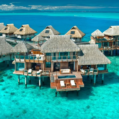 Bora Bora Pictures, Bora Bora Bungalow, Bora Bora Hotels, Bora Bora Vacation, Trip To Bora Bora, Bora Bora Island, Bora Bora Honeymoon, Bora Bora Resorts, Bora Bora French Polynesia