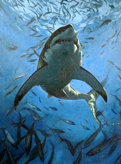 Shark Oil Painting, Thomas Fluharty, Hammerhead Sharks, Shark Painting, Hammerhead Shark, Ceiling Tile, Work With Animals, Great White Shark, Beach Aesthetic