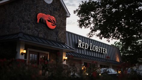 Red Lobster is closing another 23 restaurants. Here’s where they are Red Lobster Restaurant, Red Lobster, Celebrity Lifestyle, Family Project, Celebrity Kids, Game Food, Seafood Restaurant, Celebrity Entertainment, Workout Food