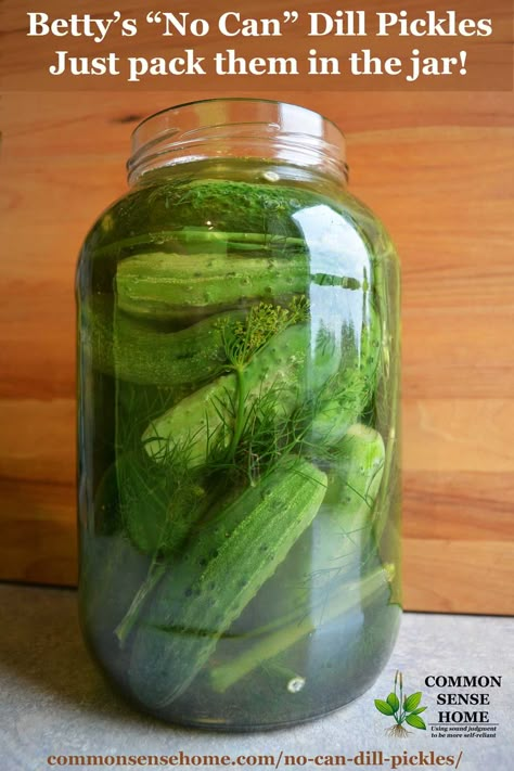 Pickle Cucumbers, Refrigerator Pickles Dill, Dill Pickle Recipe, Pickled Cucumbers, Canning Pickles, Refrigerator Pickles, Dill Pickles, Homemade Pickles, Pickled Veggies