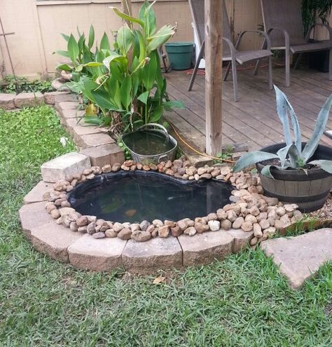 Small Backyard Pound, Tiny Pond Diy, Small Koi Pond Ideas Diy, Tiny Pond Ideas, Planter Pond, Small Backyard Pond, Small Pond Ideas, Tiny Pond, Backyard Garden Landscaping