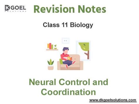 Neural Control and Coordination Class 11 Notes PDF Download Chemical Synapse, Class 10 Notes, Biology Teacher, Ozone Layer, Revision Notes, Science Notes, Biology Notes, Information Processing, Sample Paper