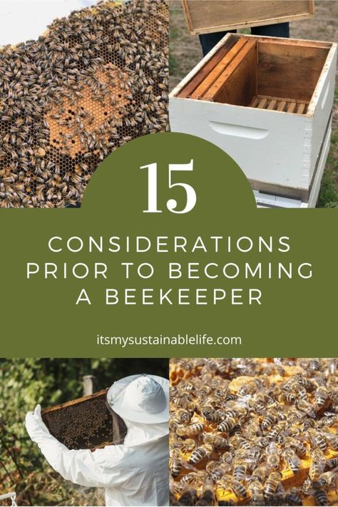 Starting Bee Keeping, Apiary Beekeeping, How To Start Beekeeping, Simple Homestead, Honey Bees Keeping, Langstroth Hive, Keeping Bees, Homestead Blog, Regenerative Farming