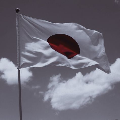 Japan Flag Aesthetic, Japon Aesthetic, Flag Aesthetic, Japan Flag, Travel Asia, Canada Flag, Asia Travel, Country Flags, Flag